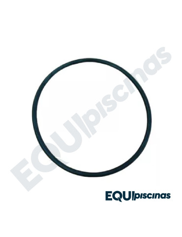 REPUESTO O´RING PARA BOMBA DE PISCINA AP-DURAGLASS