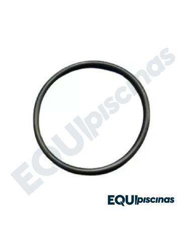REPUESTO O´RING UNION PARA BOMBA EMAUX SERIE SS