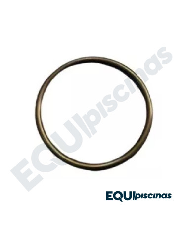 REPUESTO EMPACADURA PARA BOMBA DE PACK POOL EMAUX