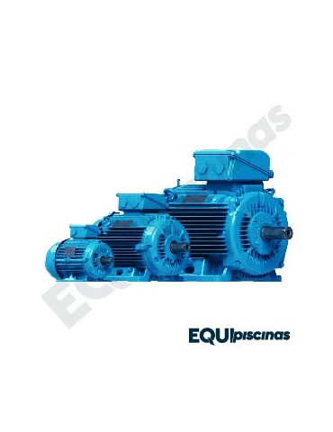 MOTOR DE REPUESTO MANHATTAN 75HP