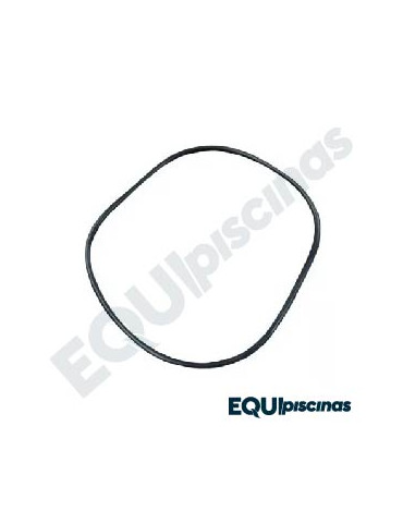 REPUESTO O´RING FLANGE PARA BOMBA EMAUX SERIE SS