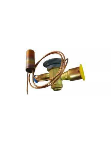 Maquina De Calor Hayward Repuesto Valvula De Expansion