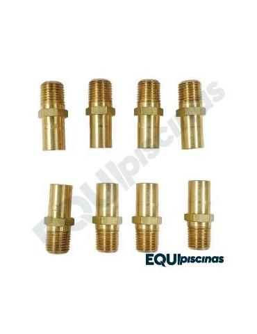 Repuesto Calentador Piscina Hayward H100 Kit Conservsion Alt