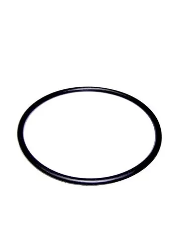 Repuesto Bomba Piscina Astral Empacadura De Goma