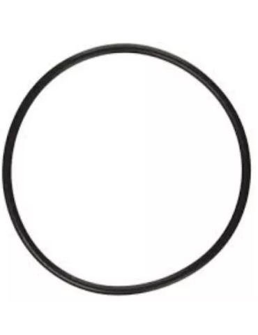 Válvula Multiport Astral Repuesto Empacadura Tapa 1-1/2