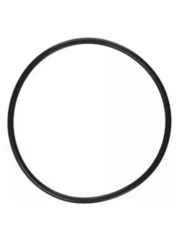 Válvula Multiport Astral Repuesto Empacadura Tapa 2