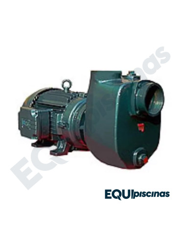 BOMBA AUTOCEBANTE MAT 750, 7.5HP, TRIF, 220V, 3"X3" O 4"X4"